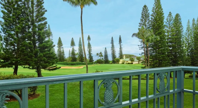 Двухместный номер Club level Deluxe с видом на океан The Ritz-Carlton Maui, Kapalua