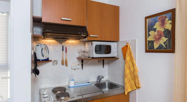 Студия Apartments Milanović