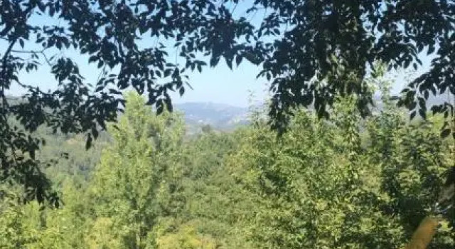 Quinta do Ladário, Rezervovat Apartmán Apartmány v Douro, Apartmán