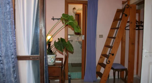 Il Camaleonte