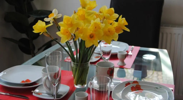 Fewo Near Rheinfall, Reserva ahora Apartamento Jestetten Baden-Wurtemberg