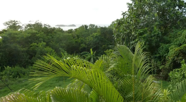 Malendure Bay Appartements, Rezerwuj Apartament Hotele w Basse-Terre z parkingiem, Parking