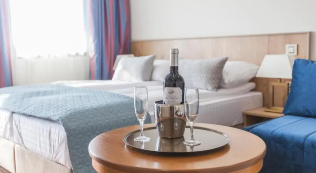 Семейная студия Zlatibor Hotel