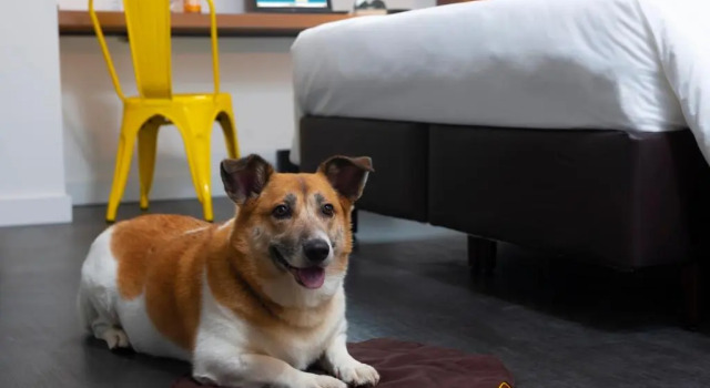 Семейный номер Standard B&B HOTEL São Paulo Luz - Centro