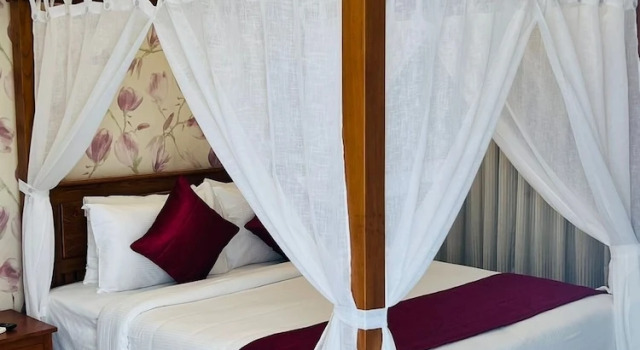 Одноместный номер Premium The Fog Munnar