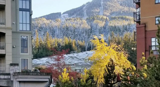 Mountain Side Hotel Whistler by Executive