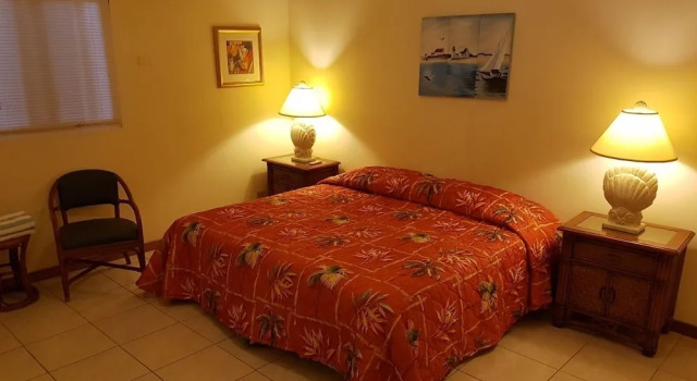 Номер Standard c 1 комнатой с видом на океан Aruba Beach Villas
