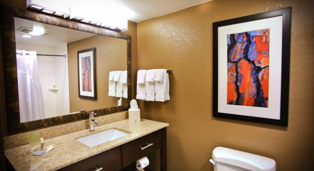 Четырёхместный номер Standard Holiday Inn Hotel & Suites LA CROSSE