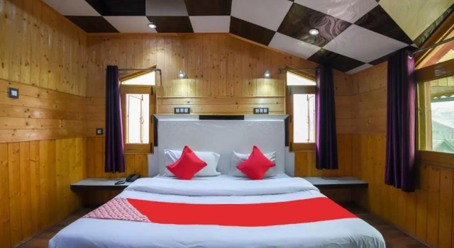 Номер Deluxe OYO 66476 Hotel Divine Kashmir