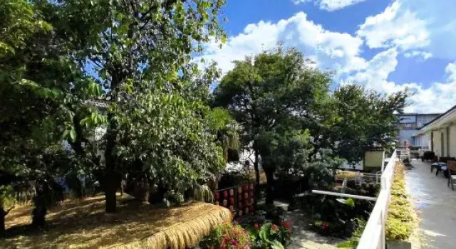 Gu Ruomin Residence, Boek Hotel Dali Yunnan