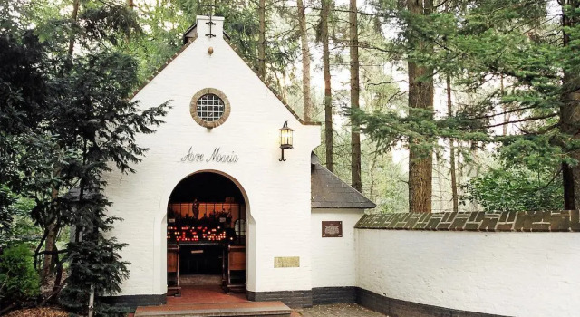 Hotel de Paddestoel, Buchen Sie Hotel Oosterwijk Nordbrabant