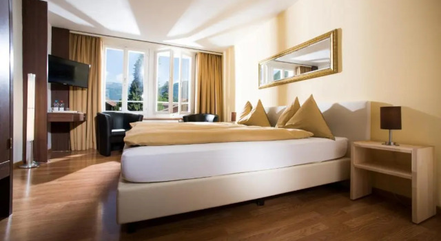 Двухместный номер Comfort с видом на Хардер Jungfrau Hotel