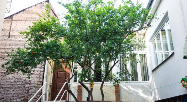 Люкс Sophie`s Garden