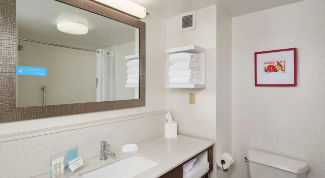 Двухместный номер Standard Hampton Inn & Suites Oxford-Anniston