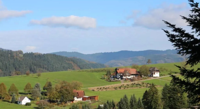 Апартаменты Schwarzwald Obsthof FeWo Ahornbaum