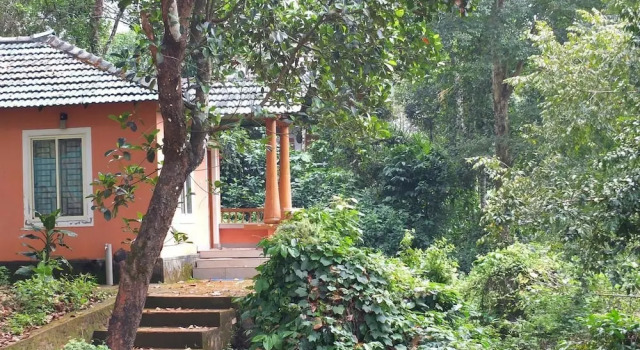 Jungle Valley Resort