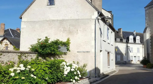 Gite Pontlevoy, 4 pièces, 4 personnes - FR-1-491-306, Rezerwuj Hotel  