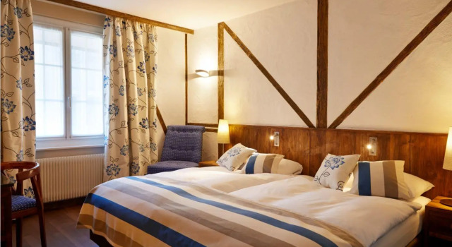 Двухместный номер Standard Hotel Adler Zürich