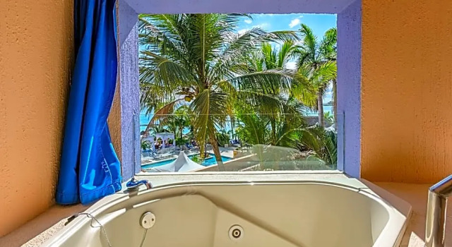 Двухместный номер Standard с видом на бассейн Puerto Aventuras Hotel & Beach Club
