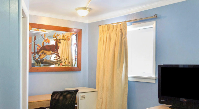 Четырёхместный номер Standard OYO Hotel Wilkes-Barre East