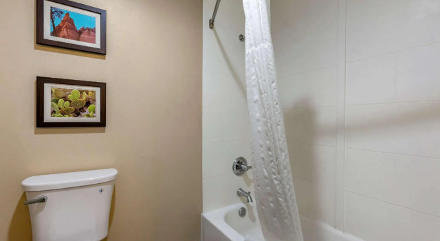 Четырёхместный номер Standard Wingate by Wyndham Los Alamos