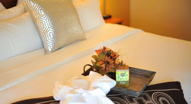Двухместный номер Standard Hotel Xola