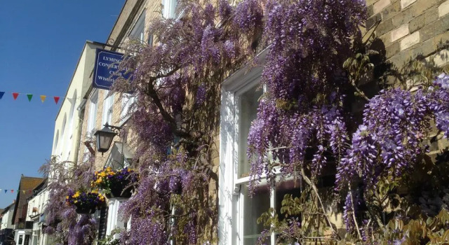 Wisteria House, Забронировать Отель Отели в центре Лимингтон, в центре