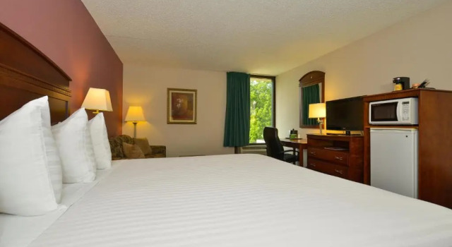 Standard Zimmer Greenstay Hotel & Suites