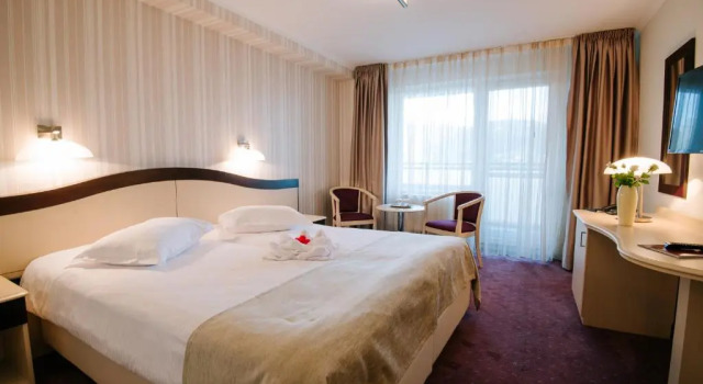 Номер Standard Caprioara Spa&Wellness Resort