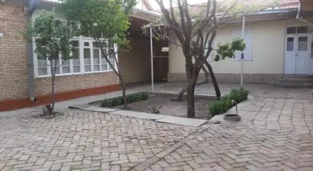 Najiba