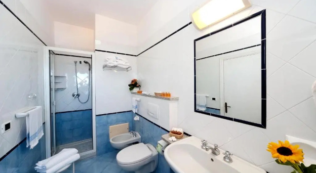 Трёхместный номер Standard Hotel Floridiana Terme