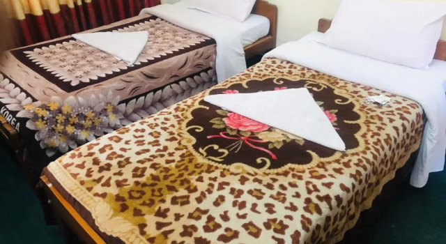 Номер Standard Hotel Green Orchid
