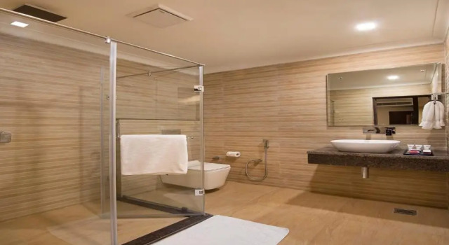 Номер Standard Clarks Inn Suites Katra