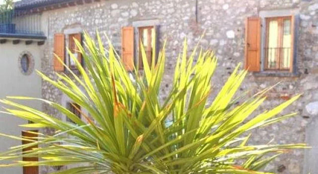 Casa Paola