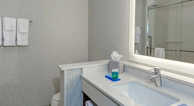 Номер Deluxe Holiday Inn Express & Suites - King George - Dahlgren by IHG