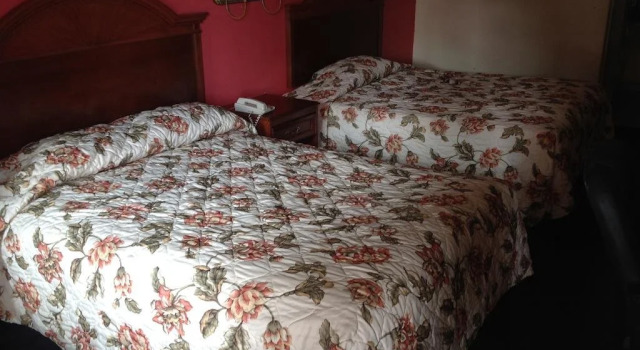 Hometowner Inn And Suites, Buchen Sie Hotel Shepherd 