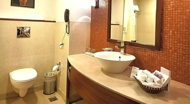Двухместный номер Deluxe The Golden Plaza Hotel