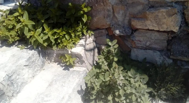 Коттедж с 2 комнатами Holiday Home Ana