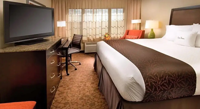 Номер Deluxe DoubleTree by Hilton Dulles Airport-Sterling