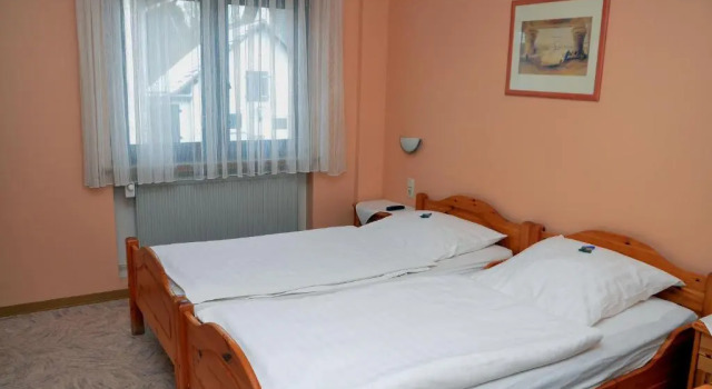 Двухместный номер Standard Hotel Sassor