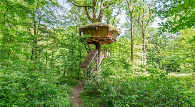 L'Arbre à Cabane, Book Feriehus Hoteller i Burgund med parkering, Parkering