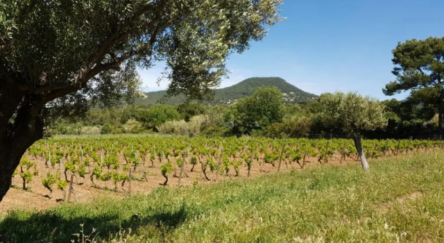 Коттедж Domaine de la Navicelle