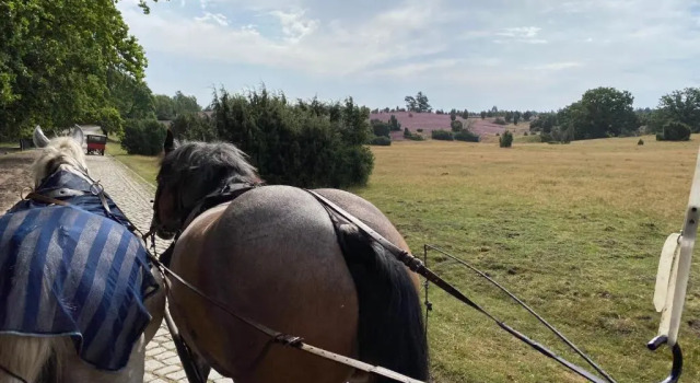 Huus Utspann Fewo Mit Terrasse - 23 Km Vor Hamburg -, Забронировать Отель Отели Зеветаль с завтраком, Завтраки