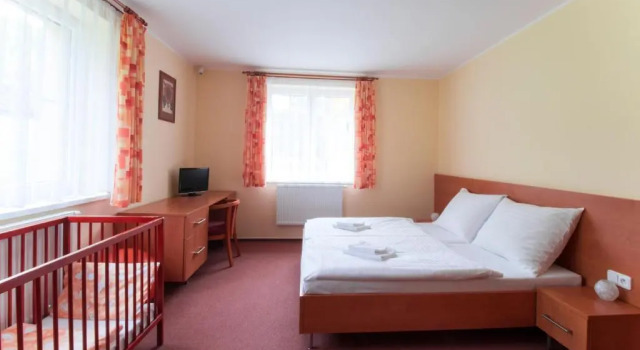 Номер Comfort Hotel České Žleby