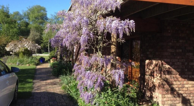 Wisteria Lodge Bed and Breakfast, Buchen Sie Hotel Legana Tamar Valley