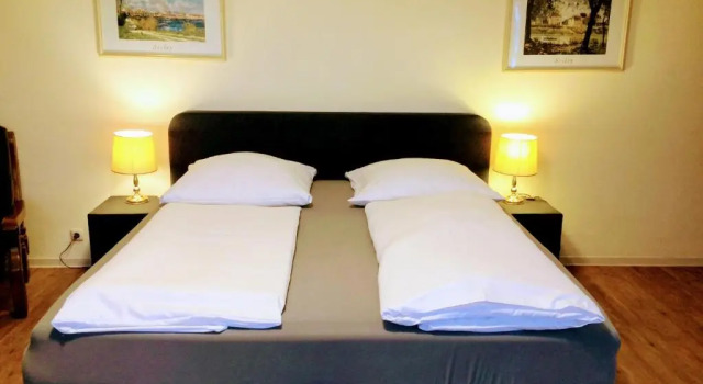 Двухместный номер Standard Hotel zum Schnackel in Mainz