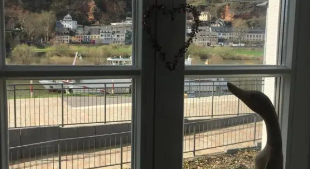 Apartment Am Zurlaubener Ufer, Réserver Appartement Trèves Trier-Saarburg