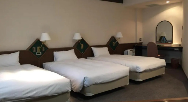 Семейный номер Standard Hotel New Omi