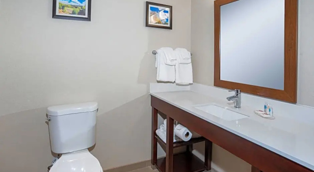 Люкс Deluxe Comfort Inn Naugatuck-Shelton, CT