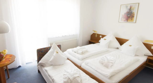 Трёхместный номер Standard Hotel Roemerstein